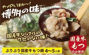 創業55年の老舗肉屋が厳選！国産もつ鍋（しょうゆ味）4~5人前　EZ006