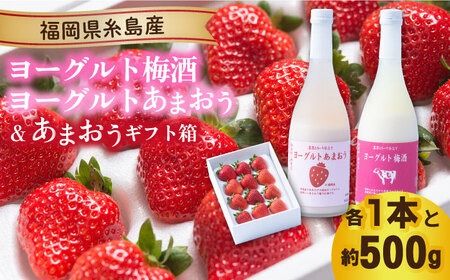 ヨーグルトあまおう＆ヨーグルト梅酒 各720ml×あまおうギフト箱入り （12-15粒） 糸島市 / 南国フルーツ株式会社 [AIK020]