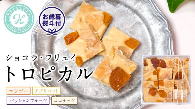 【お歳暮熨斗付】ショコラフリュイ　トロピカル チョコレート チョコ スイーツ デザート 高級 ギフト 贈り物 お礼 プレゼント 手土産 お菓子 [DJ30-NT]