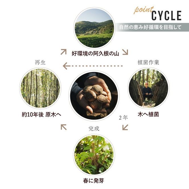 濃いえのき(10袋・計300g)国産 白えのき エノキ きのこ 茸 キノコ セット 個包装【三笠えのき茸生産組合】akn010-05