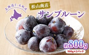 [先行受付] 北海道仁木町産 プルーン 800g ( サンプルーン ) 厳選品 果物 フルーツ 国産 高糖度 ほどよい酸味 北海道産プルーン 国産プルーン [松山商店]