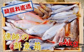 890.漁師の鮮魚箱（約4kg）(A890-3)
