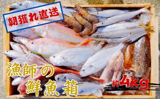 890.漁師の鮮魚箱（約4kg）(A890-3)