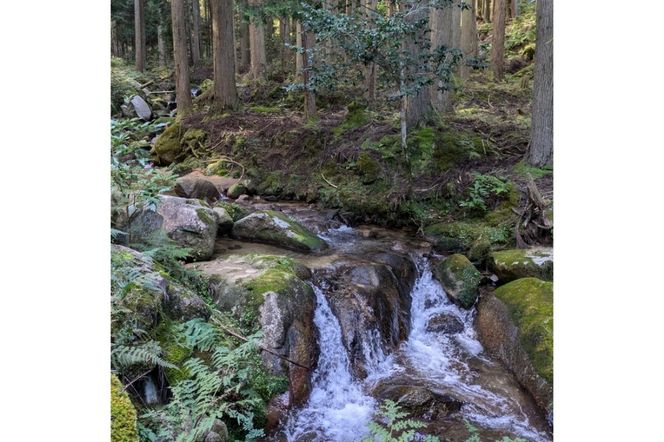 京都・久美浜産 特別栽培米コシヒカリ 1.5kg×2袋　AL00002