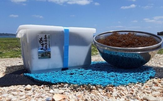 【嘉保水産】勝連産・太もずく（塩蔵タイプ）約5kg　プラスチック容器入り