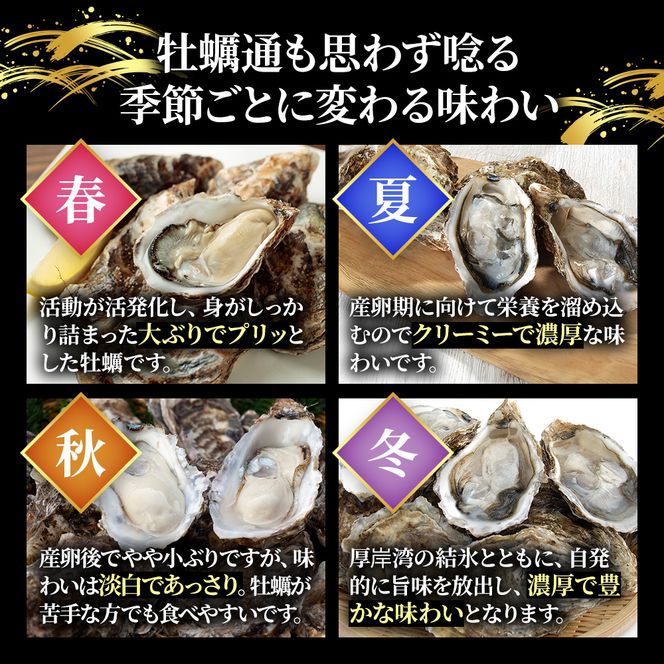 北の海のミルク！ 厚岸産 牡蠣 3Lサイズが50個！ 生食用 生牡蠣 貝付き牡蠣 貝 海鮮 魚介類 殻付き牡蠣 マルえもん メルマガ掲載商品3 