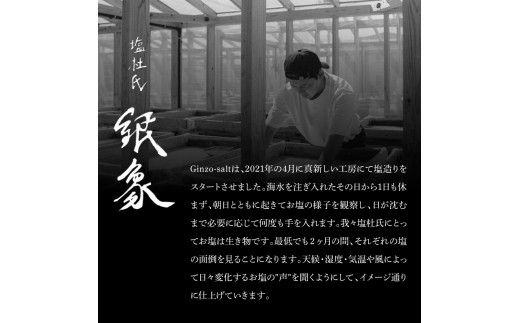 銀象ソルト Ginzo-Salt お試しサイズ３種類セット 塩 しお 調味料 天日塩 完全天日塩 国産 高知県産 ソルト ミネラル 健康 お試し セット スタンダード ミート【塩杜氏銀象】 [BQBX001]