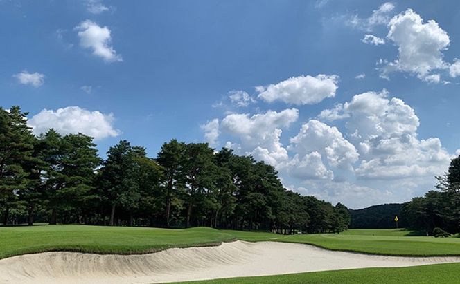 平日限定 嵐山カントリー倶楽部 ゴルフプレー券 3名様 カントリークラブ ゴルフ 利用券 体験 ゴルフ場 お土産 昼食 キャディー スポーツ コンペ ゴルフコンペ 運動 2グリーン 利用チケット 送料無料 埼玉県 嵐山町