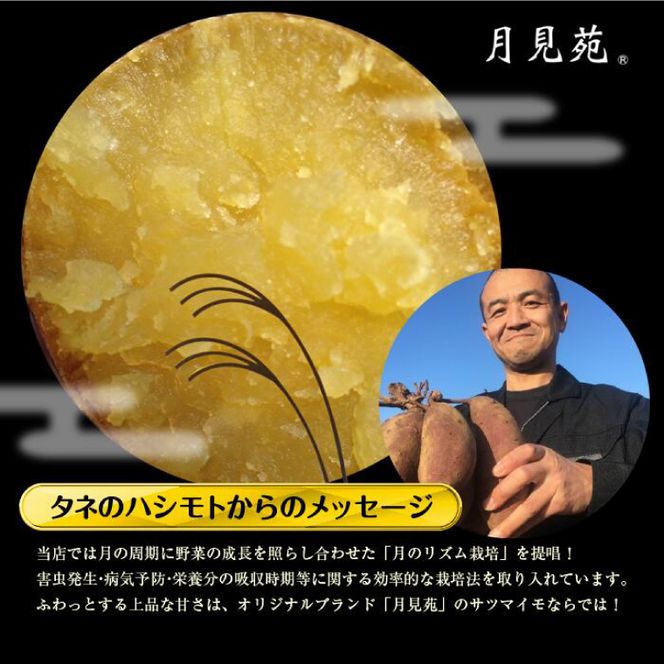 【熟成芋紅はるか】干し芋 小袋サイズ 約1.4kg(350g×4袋)｜茨城県 行方市 ふるさと納税 さつまいも 干し芋 はしいも 小袋 干しいも べにはるか 紅はるか お菓子 菓子(BS-26)