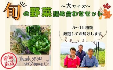 【期間限定】旬の野菜詰め合わせセット（大）(I-2)