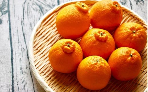  甘みと旨味がぎゅっと詰まった逸品！越冬完熟「きみのデコ」(デコポンと同品種) 1.5kg　サイズ混合 L以上 ご家庭用(秀優混合)/デコポン 不知火 柑橘  和歌山県 越冬 有機 【kmf012】