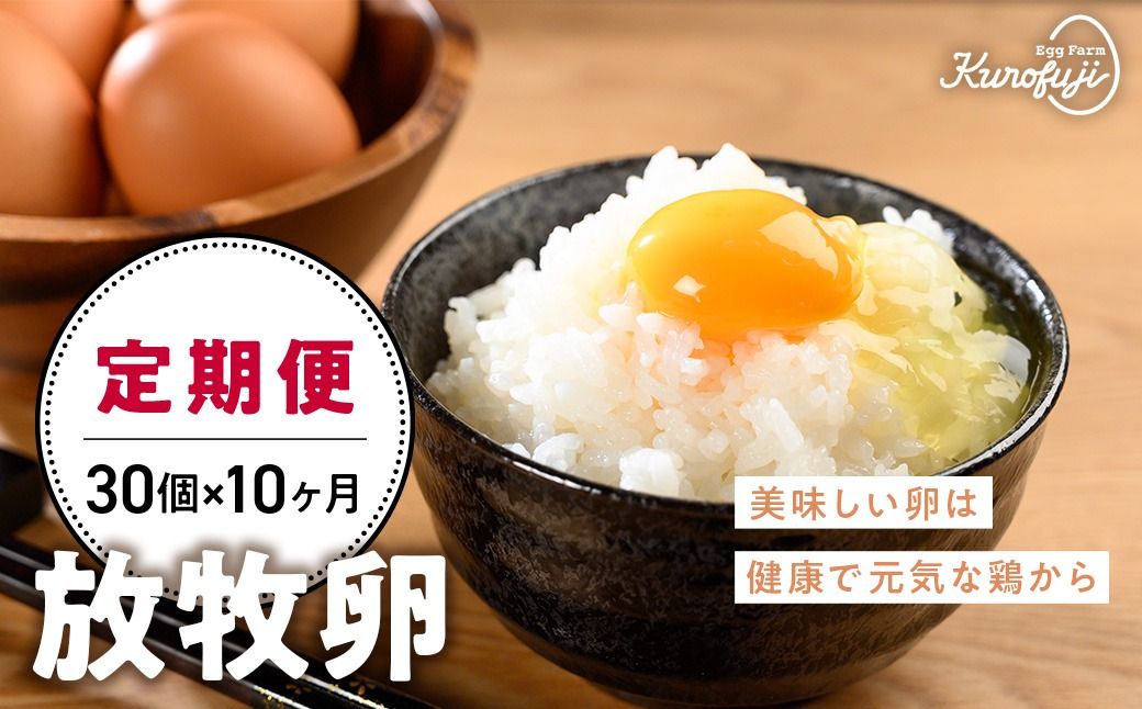 放牧卵30個×10ヶ月 人気 おすすめ 国産 贈答 ギフト お取り寄せ 卵 たまご タマゴ 玉子 鶏卵 自然卵 放牧卵 平飼い 新鮮 たまごかけご飯B-20