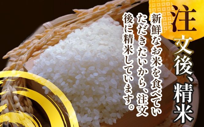 令和6年産　新米　愛知県産あいちのかおり　白米10kg　特別栽培米　ご飯 精米／戸典オペレーター[AECT025]