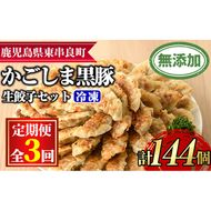 【0365103b】＜定期便・全3回＞鹿児島黒豚生餃子48個セット(12個入×4パック×3回・計144個) 黒豚 豚肉 ぶた肉 餃子 ギョウザ ぎょうざ 惣菜【鹿児島ますや】