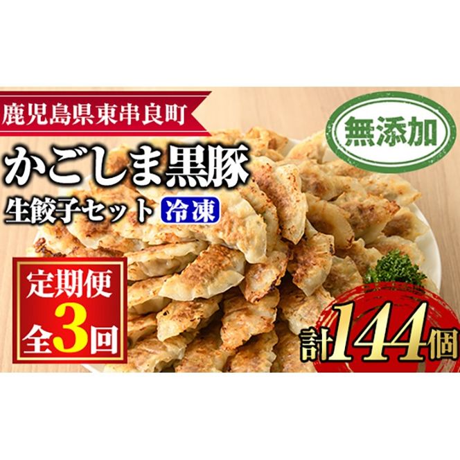 【0365103b】＜定期便・全3回＞鹿児島黒豚生餃子48個セット(12個入×4パック×3回・計144個) 黒豚 豚肉 ぶた肉 餃子 ギョウザ ぎょうざ 惣菜【鹿児島ますや】