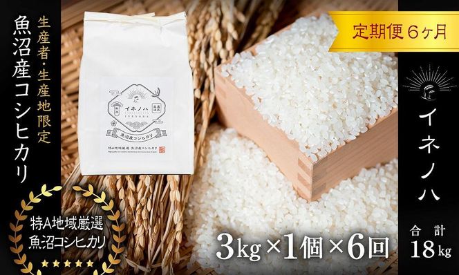 ＜定期便・全6回＞【令和7年産】魚沼産コシヒカリ「イネノハ 」精米(3kg×1)×6回 お米 白米 ご飯 産地直送 ミネラル 栄養分 こだわり 人気 新鮮 