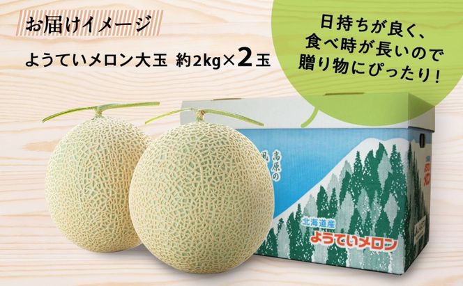 北海道 赤肉メロン 大玉 約2kg 2玉 メロン 赤肉 果物 フルーツ 甘い 完熟 スイーツ デザート 産直 国産 贈答品 お祝いギフト羊蹄山 JAようてい