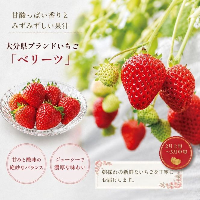 【数量限定】旬の特選フルーツ定期便 (シャインマスカット・イチゴ・みかん) 全3回