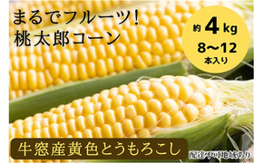 ［2026年先行予約］牛窓産とうもろこし まるでフルーツ！最高糖度25度超え 生で甘い、茹でて美味い！ 黄色 とうもろこし 「桃太郎コーン」約4kg（8～12本入り） 野菜[№5735-0982]