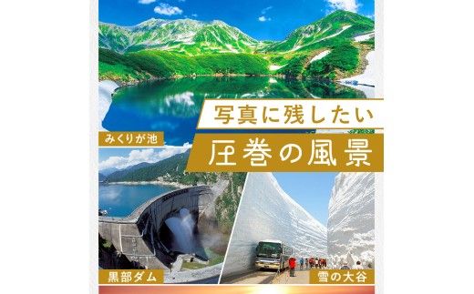 立山町 宿泊施設 宿泊券 30,000円分 宿泊チケット 宿泊 宿 山小屋 山荘 ホテル 旅 旅行 観光 レジャー チケット 登山 トレッキング アルペンルート 山岳観光 立山観光 F6T-1070