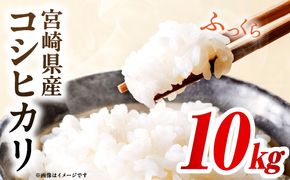 令和7年度産 宮崎県産コシヒカリ 10kg（5kg×2袋）
