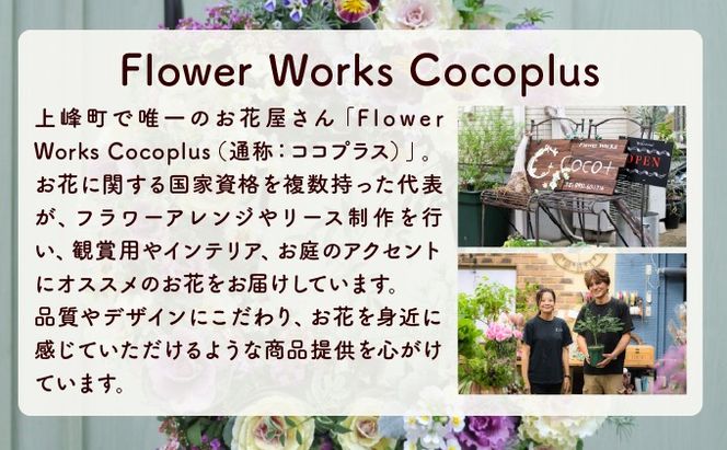 【全5回定期便】季節の寄せ植え ブリコラージュフラワー