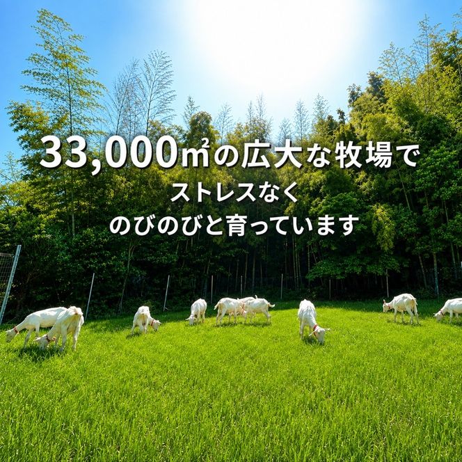 【定期便6ヶ月】国産グラスフェッド【ペット用】ヤギミルク200ml×5本（愛知ヤギ農場産） | 無添加 ノンホモ 低温殺菌 パスチャライゼーション 山羊乳 送料無料