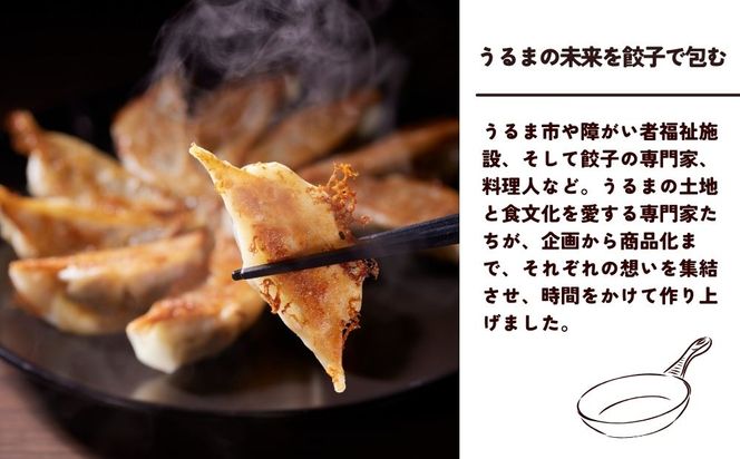 包むうるま餃子 4種セット（島餃子・鶏塩餃子・チャンプルー餃子・車海老餃子）