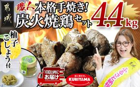 本格手焼き!炭火焼鶏4.4kg(ゆずこしょう付)≪みやこんじょ特急便≫_AC-1411-Q_ (都城市) 鶏肉 小分け 炭火焼き おつまみ 宮崎 冷凍 柚子胡椒  栗山ノーサン ギャル曽根さんおすすめの鶏肉返礼品(炭火焼) 