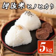 Z9-04 鹿児島県産！伊佐米ヒノヒカリ(5kg) 薩摩の北の郷、清き水の流れで生まれるお米【神薗商店】