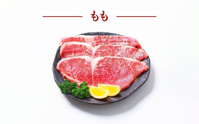【7回定期便】長崎和牛 ステーキ 食べ比べセット サーロイン もも 400g / すてーき さーろいん モモ 牛肉 ぎゅうにく / 南島原市 / 贅沢宝庫[SDZ082]