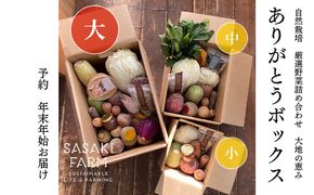 旬の野菜詰め合わせ ～ありがとうBOX2026・大～ 12月1日～1月31日頃お届け 先行予約 北海道 野菜 やさい 詰め合わせ セット 北海道産 常備菜 加工品 自然栽培 佐々木ファーム 産地直送 洞爺湖町
