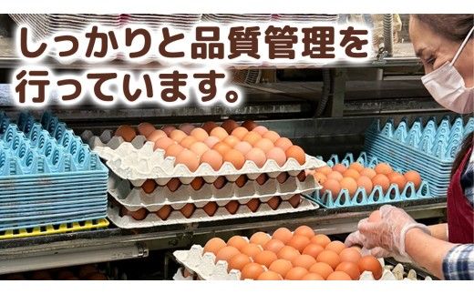 キトサン 健康 たまご 80個入 赤玉 卵 タマゴ 鶏卵 鶏 卵かけごはん ゆで卵 赤たまご 国産 茨城県 玉子 [EE001us]