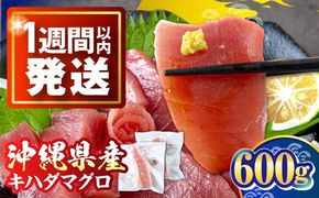冷凍キハダマグロ 600g (300g×2パック)  マグロ まぐろ 小分け 冷凍 刺身 赤身 沖縄市 / 沖縄市漁業協同組合 パヤオ直売店[BCDZ001]