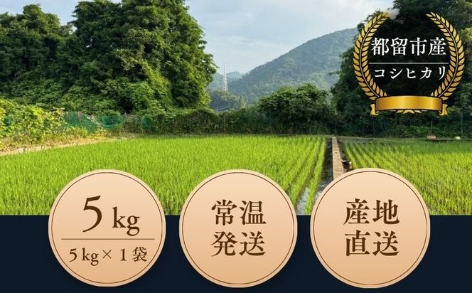  令和7年産　都留市産コシヒカリ（5kg）KD001｜米 新米 こしひかり お米