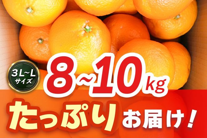 【2027年1月中旬より発送開始】いよかん 8～10kg(3L～Lサイズ)【みかん 柑橘 フルーツ デザート】(H116141)