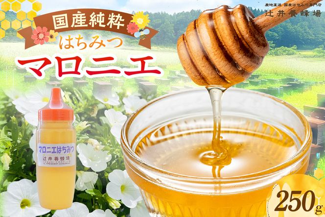 yɌzyY }jG݂͂ 250g |ezY  }jG ݂͂ n`~c I Ȃ̖ ₳  ܂₩ p [Og  Ɍ  ҈{I 81-01