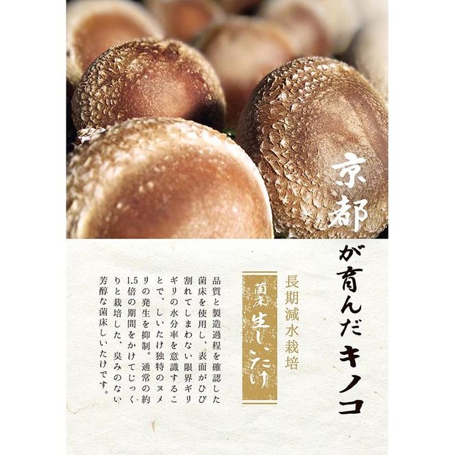 お野菜セット アビトルベジタブル+しいたけ 合計8～10品目詰め合わせセット 季節の野菜 旬の野菜 やさい 新鮮 産地直送 きのこ キノコ 産直 国産 京都 京都産 ※北海道・沖縄・離島への配送不可