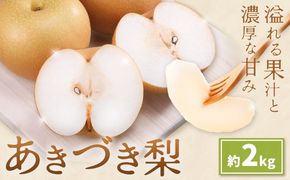 先行予約 あきづき梨 あきづき 梨 約2kg 株式会社エフビーネット《8月下旬-9月下旬頃出荷》熊本県 氷川町 果物 フルーツ 熊本県産 青果物 和梨 ジューシー---hkw_efn_3_2kg---