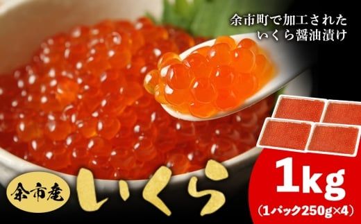 ykC]sz]sY  500g × 2 1kg kCY Ⓚ  Ⓚ ݖЂ ϔ 蕨 Mtg H H̗ Ƃ낯H ͂H kC ]s_Y020-0706