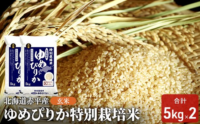 玄米 北海道赤平産 ゆめぴりか 10kg (5kg×2袋) 特別栽培米 米 北海道 お米 ふるさと納税 