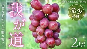 我が道 ２房【2026年9月上旬発送開始】(茨城県共通返礼品：大子町) シャインマスカット ウインク 葡萄 ブドウ ぶどう 果物 フルーツ 希少 新品種