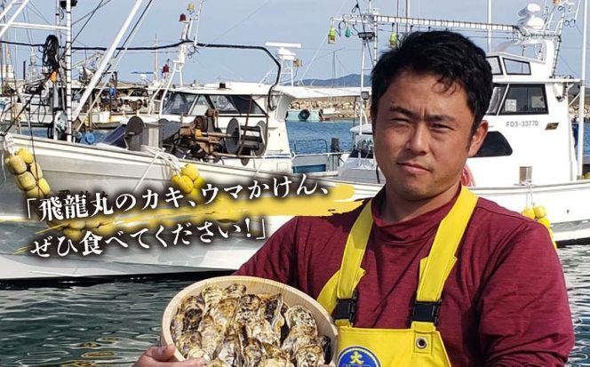 加熱用 福吉の牡蠣 殻付き 3kg (簡易 ナイフ 付き) 福岡県 糸島産 糸島 / かきの阿部 飛龍丸[AZB002]