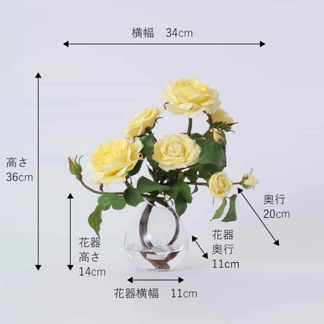 アートフラワー エミリオ・ロバ プリマローズye-L TTNTS34200