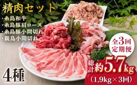 【全3回定期便】牛肉 豚肉 鶏肉 日常使いの精肉セット 1,930g 4～5人前 4種《糸島》【糸島ミートデリ工房】 [ACA197]