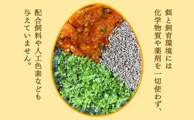 卵 こだわり餌の平飼い鶏の卵 10個パック(有精・無精卵各5個)Mサイズ以上 鶏卵 たまご 平飼い