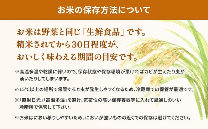 期間限定!! 【最短2日後7日以内発送】【令和7年産/白米】 こしひかり 5kg 茨城県産 米 小分け 2025年産 K2670
