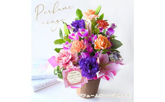 【母の日】パフュームオレンジLサイズ ＜お届け日：2026年5/8～5/10 当店おまかせ ＞母の日カード付き【 母の日 ギフト アレンジ 花 贈り物 大阪府 門真市 】 272230_BG117