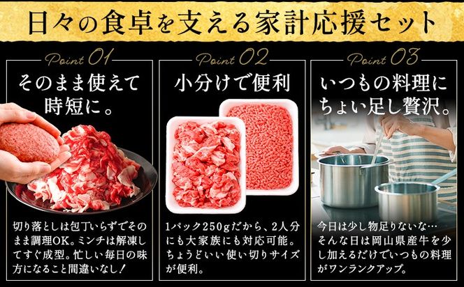 牛肉 国産 切り落とし ミンチ セット 家計応援 岡山県産牛 選べる 1kg 2kg 3ヶ月定期便 6ヶ月定期便 小分け 1パック250g お試し 大容量《60日以内に出荷予定(土日祝除く)》岡山県 笠岡市 肉 ひき肉 グルメ お取り寄せグルメ 定期便は翌月から発送---kasaoka_zsy_281_1---