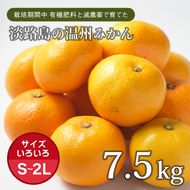 片山農園の淡路島みかん(温州みかん)7.5kg【サイズいろいろS～2Lサイズ】